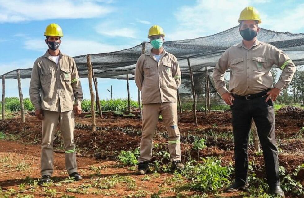 Espacio agroecológico en la Unidad Penal VI de Posadas