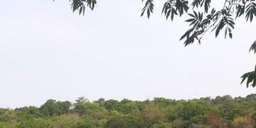 Puerto Iguazú: hallaron el cuerpo del joven que desapareció en el arroyo Piray Guazú