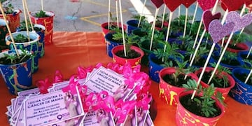 Entrega de módulos alimentarios