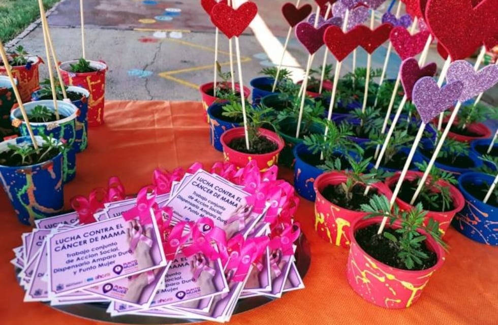 Conciencia del cáncer de mama en la entrega de módulos alimentarios