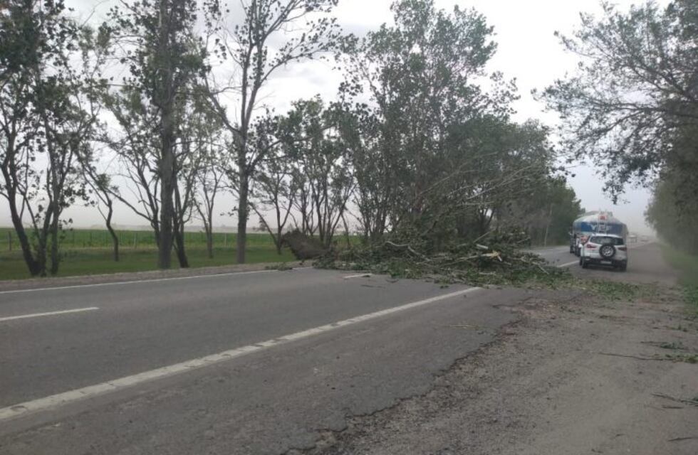 El viento volteó árboles sobre la ruta 158 en cercanías de General Cabrera