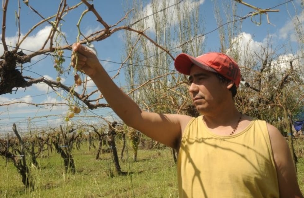 Senadores dio media sanción al proyecto de ley de seguro agrícola