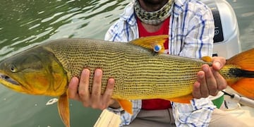 La pesca seguirá prohibida en Corrientes hasta que mejoren las condiciones del río\u002E