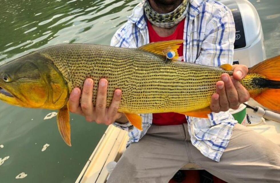 La pesca en Corrientes regresará recién cuando mejoren las condiciones de los ríos