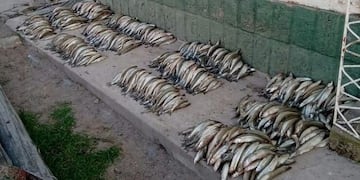 Detectaron a una banda que usaba redes para pescar peyerreyes del Cabra Corral (Policía de Salta)