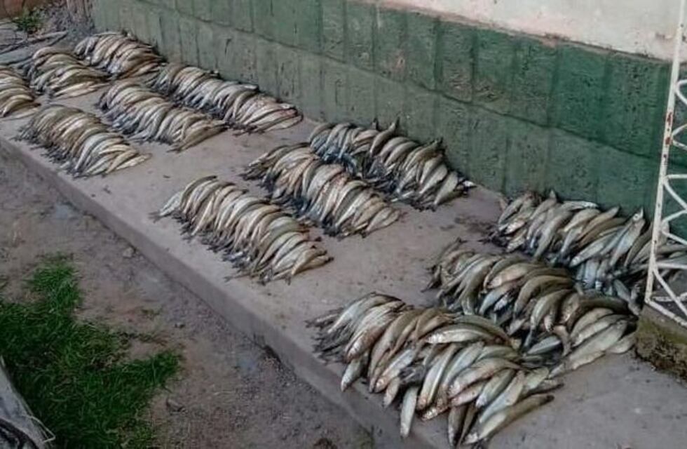 Detectaron a una banda que usaba redes para pescar peyerreyes del Cabra Corral
