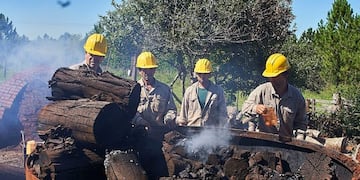 Probaron nuevas tecnología en la producción carbonera