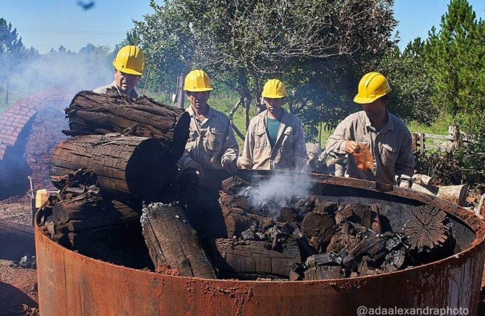 Probaron nuevas tecnologías para mayor rendimiento en la producción carbonera
