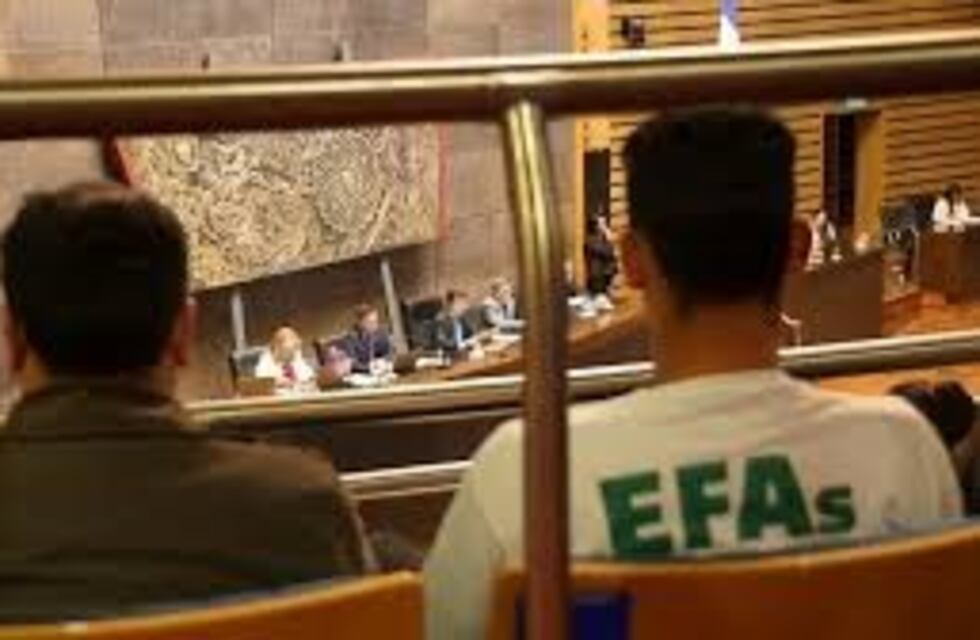 Más de mil camas a disposición de la provincia de parte de las EFAs