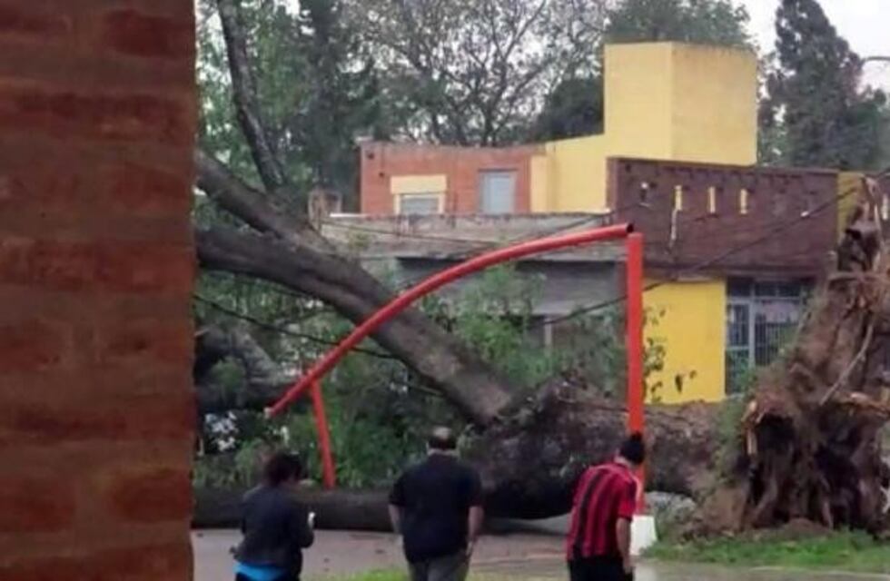 Minetti: "Estamos esperando tormentas de volumen importante con una gran capacidad destructiva"