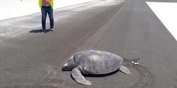 (Foto: Hulhumale Riyattey)