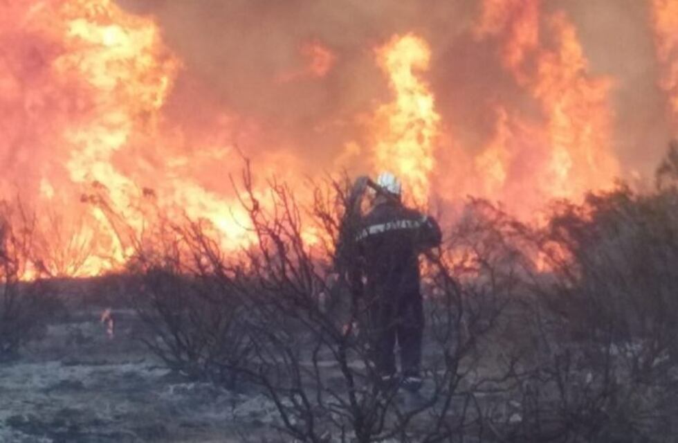 Incendio en Mendoza: Bomberos combaten el fuego en campos de Perdriel