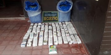 Incautaron hojas de coca por un valor de 90 mil pesos en Salta\u002E (Policía de Salta)