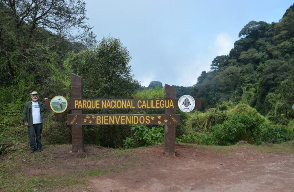 La voz de los niños se torna relevante en materia de medio ambiente