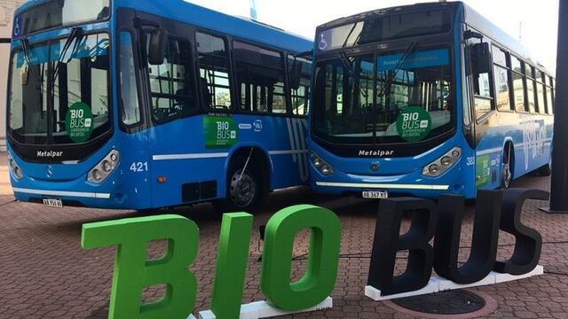 Biobus: la provincia propone que todo el transporte público utilice biodiesel