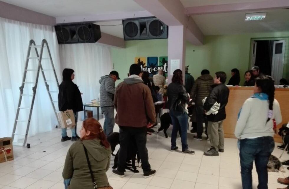 Se realizaron más de 80 castraciones en el primer día de trabajo