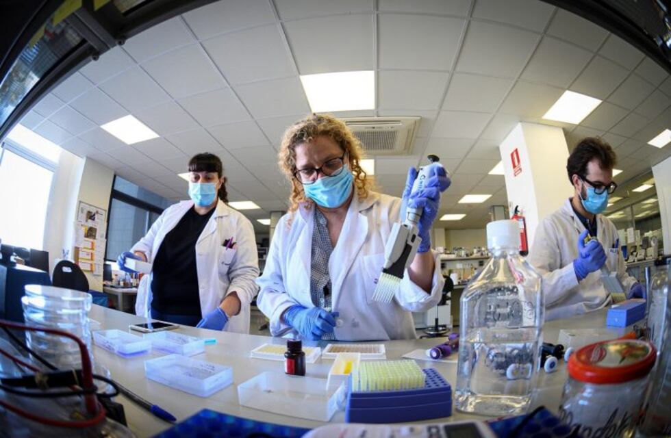 Misiones presentó proyectos científicos para combatir la pandemia coronavirus