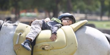 Robaron en Centro de equinoterapia en La Cruz\u002E