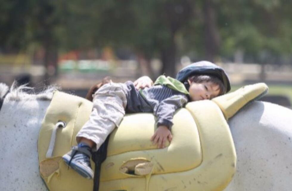 Robaron un centro de recuperación para chicos especiales