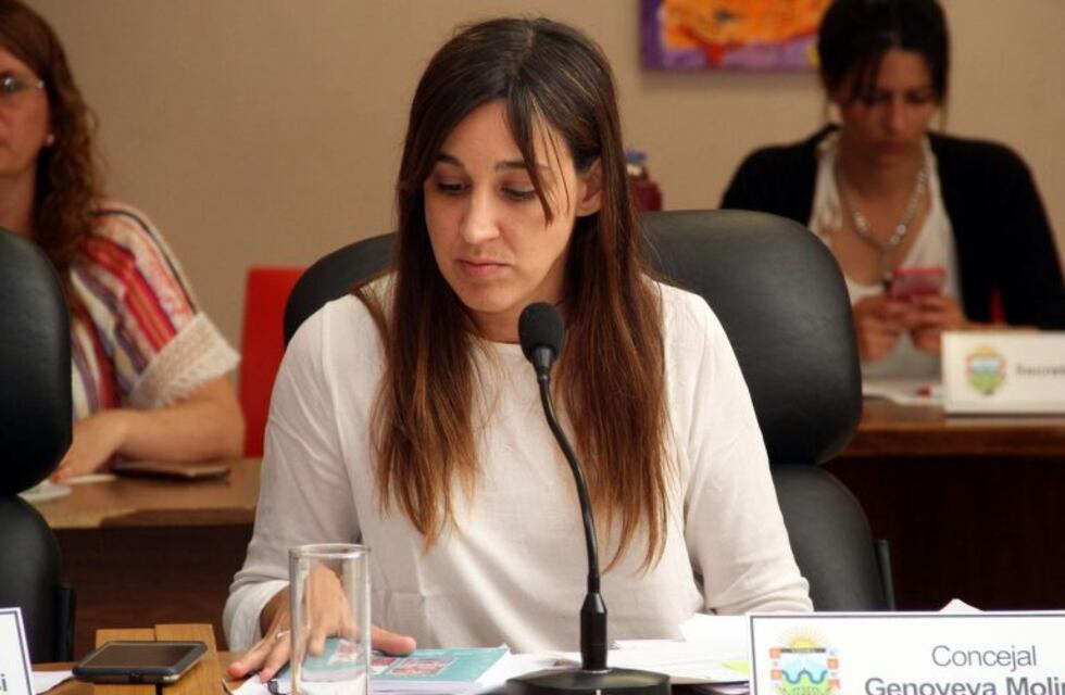 Molinari sobre la integración de la UCR a Cambiemos: ''No podemos repetir el mismo error''