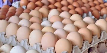 Desde el municipio de Campo Ramón impulsarán la producción de huevos
