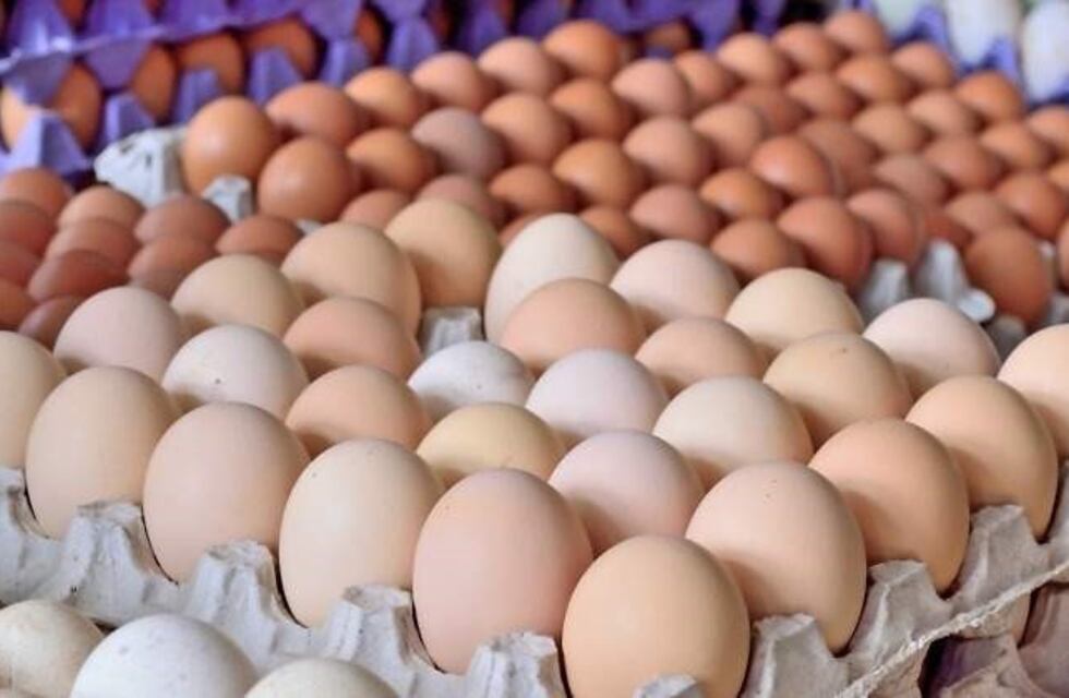 Desde el municipio de Campo Ramón impulsarán la producción de huevos