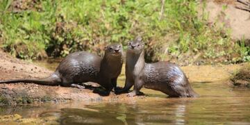 Parque Nacional El Rey