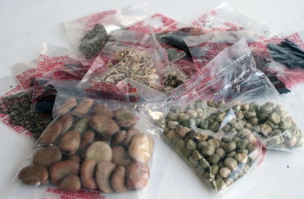 Llegan semillas del programa Pro-Huerta a Arroyito