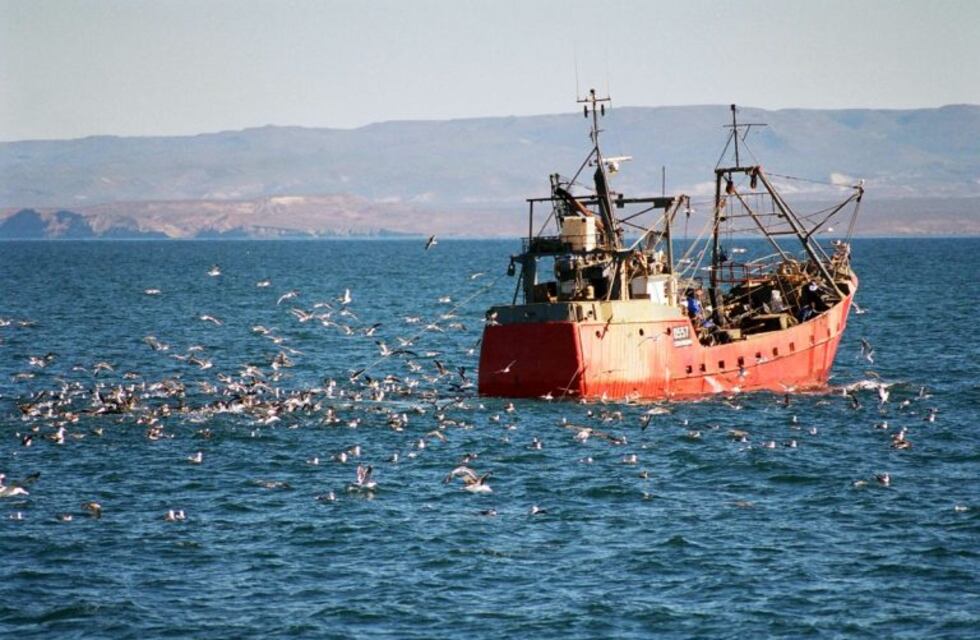 Puertos patagónicos: se registraron subas y bajas en la actividad