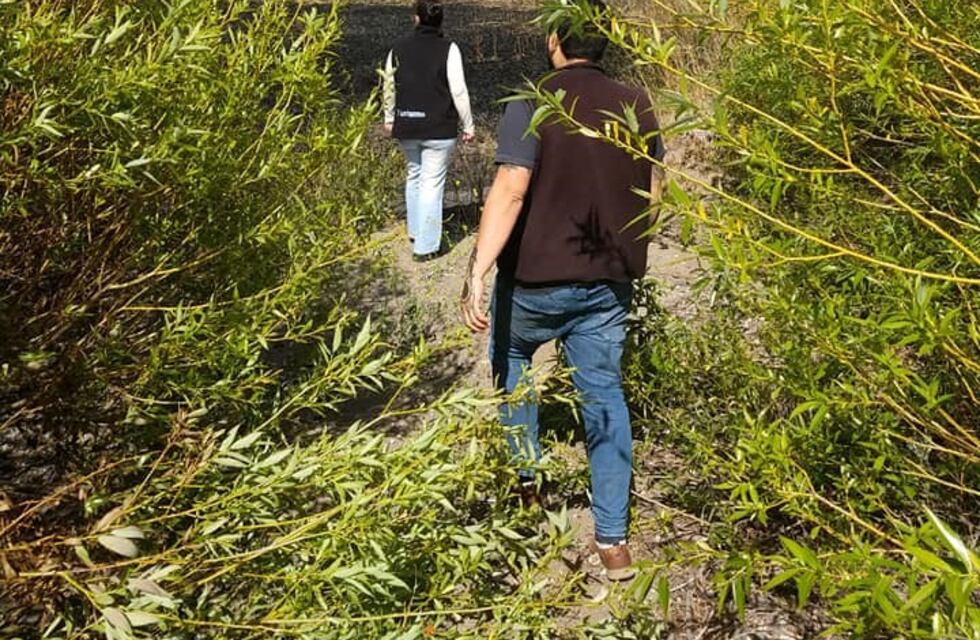 Provocaron un incendio en Reserva de Los Antiguos