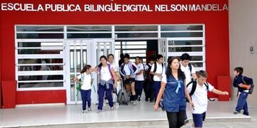 nelson mandela escuela san luis gripe a