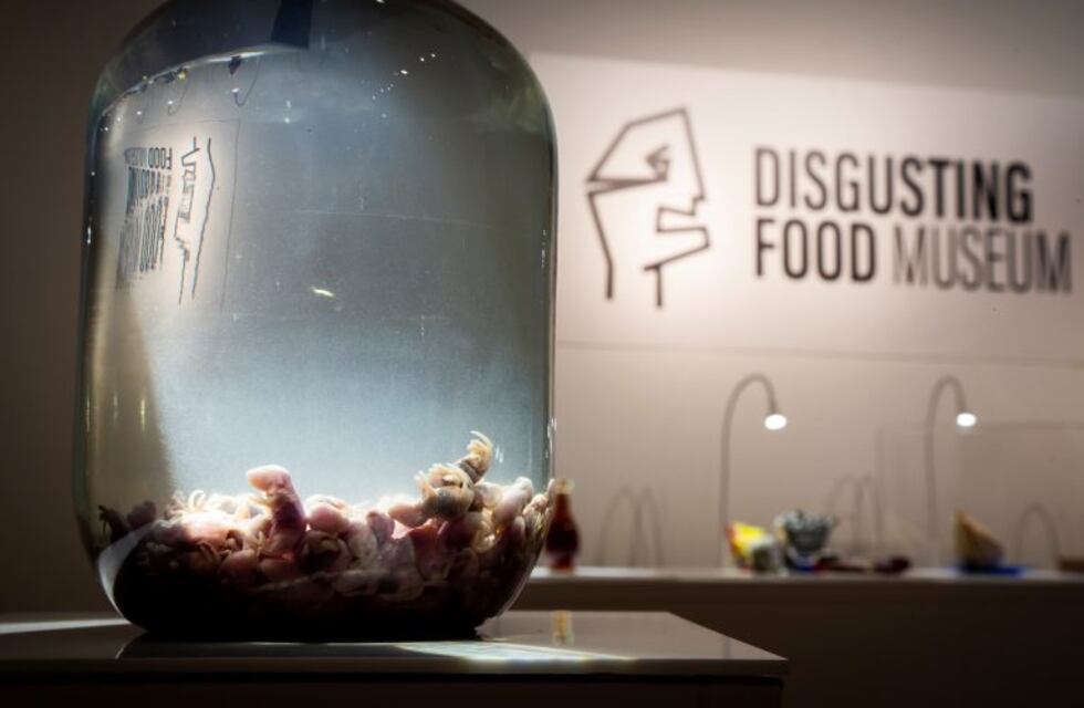 Así es por dentro el Museo de Comidas Repugnantes