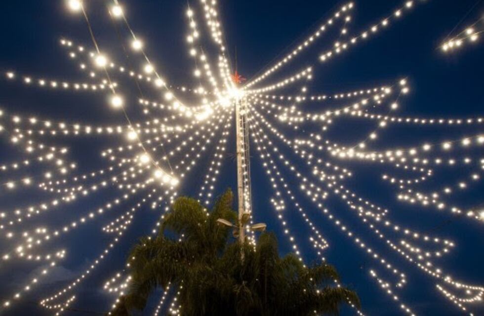 Con música en vivo, se enciende el arbolito en las Cuatro Plazas