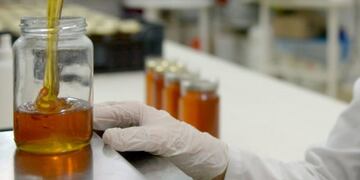Capacitaciones para PyMEs de alimentos Miel