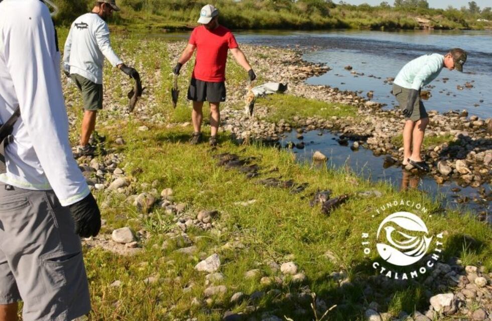 Mortandad de peces fue por efluente de la Petroquímica Río Tercero