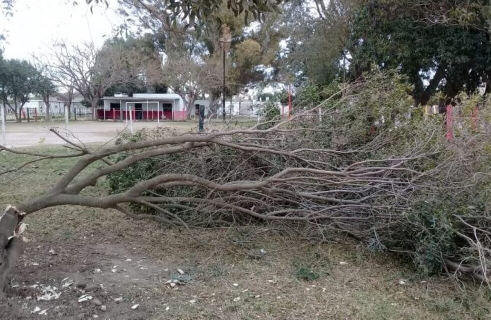 Dirigentes del Centro Vecinal Nicolás Batalla radicaron la denuncia en Fiscalía
