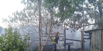 Gobernador Roca: un incendio en malezas y plantaciones de yerba afectó 35 hectáreas