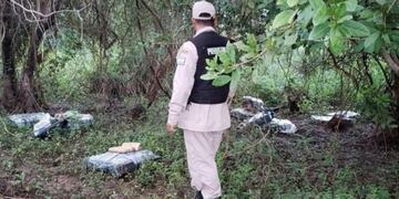 Encontraron más de 200 kilos de marihuana\u002E (Foto: El Litoral)