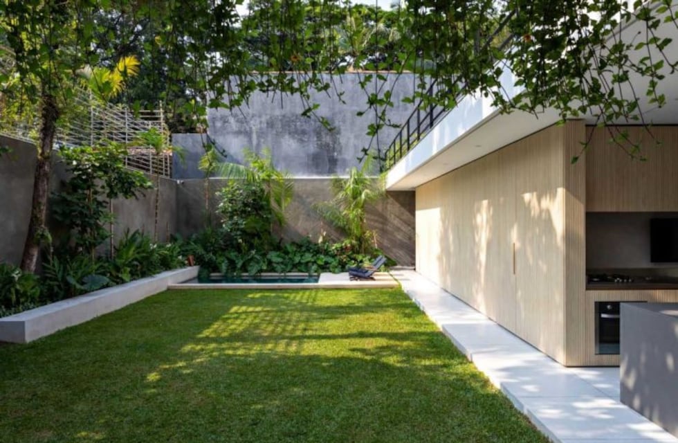 Escuchó ruidos extraños y se topó con un inesperado animal en el patio de su casa en Córdoba