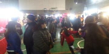 Más de ocho mil personas ya visitaron la Expo Invierno 2019