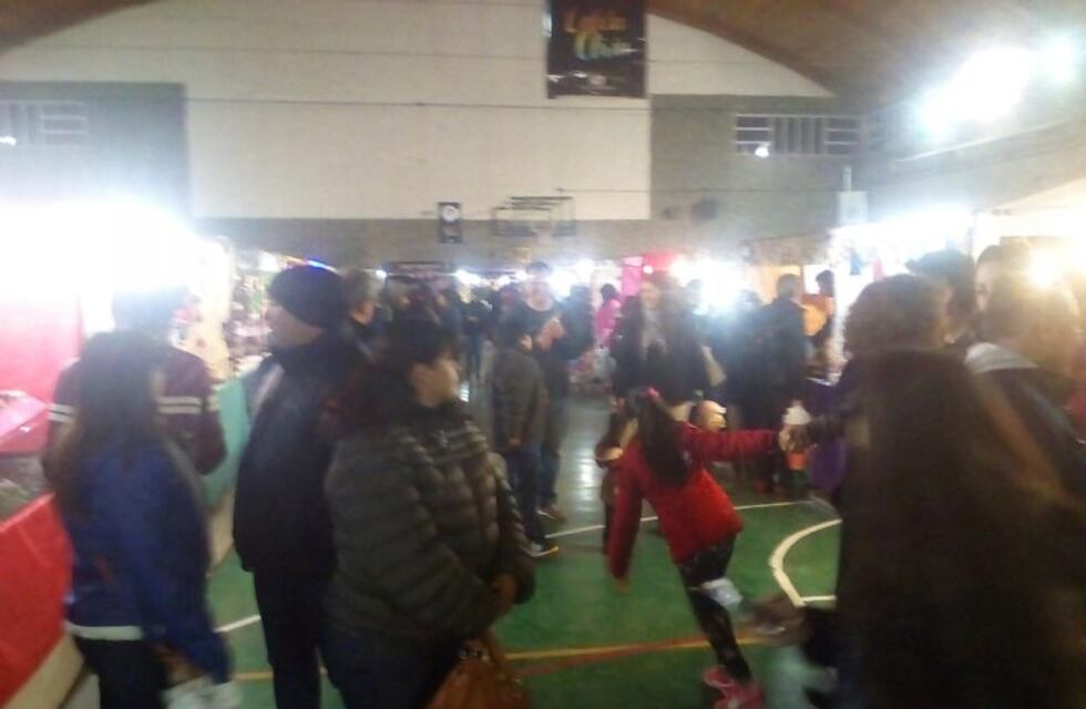 Más de ocho mil personas ya visitaron la Expo Invierno 2019