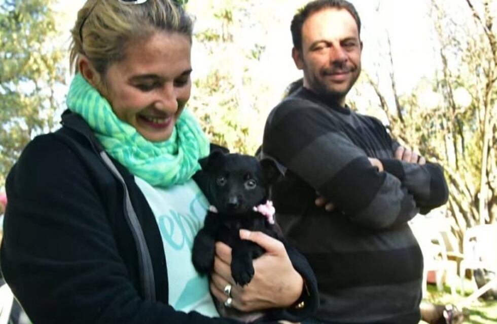 La municipalidad de Villa María entregó en adopción a diez perros