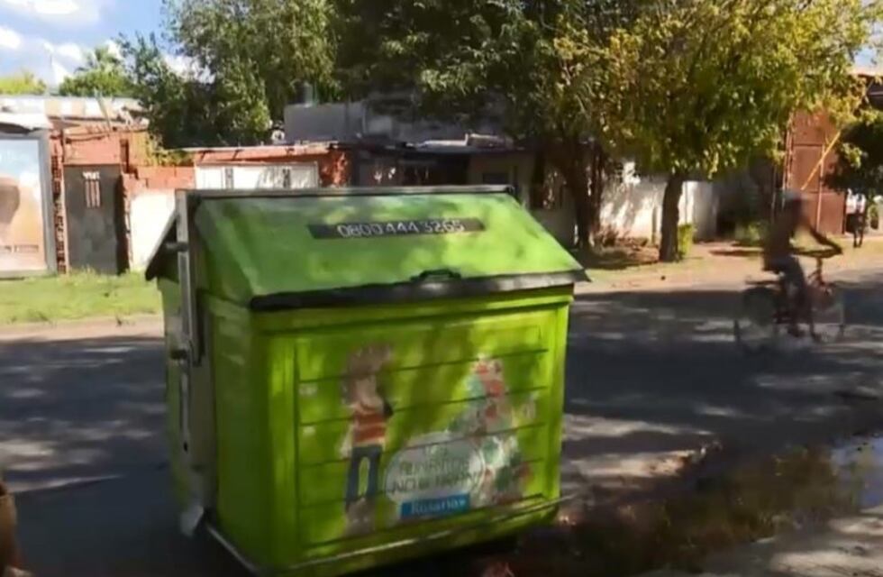 Hallaron 30 perros faenados en un contenedor: temen que los vendan como alimento