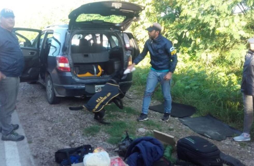 Detuvieron a 10 miembros de una banda narco que actuaba en el noroeste del país y en Mar del Plata