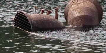 El bajo caudal del río afecta la producción del agua potable para la ciudad\u002E