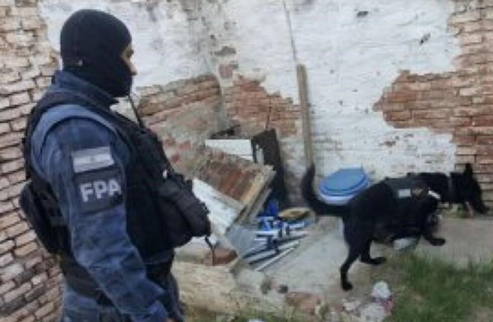 Gracias al perro, encontraron 1.200 dosis de marihuana: seis detenidos