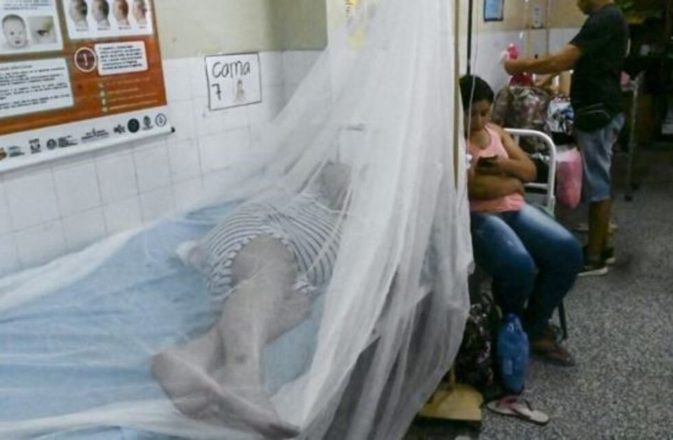 Paraguay espera en febrero el pico de infectados por el dengue