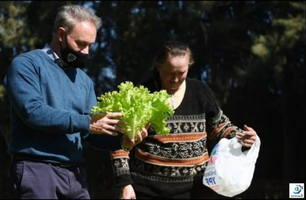 Huerta Agroecológica de Crespo cosechará más de mil kilos de verduras