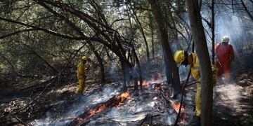 Los bomberos lidiando contra un foco de incendio\u002E