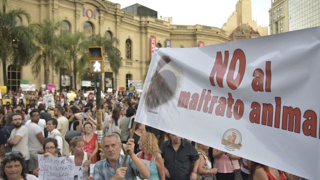 Maltrato animal (archivo)\u002E